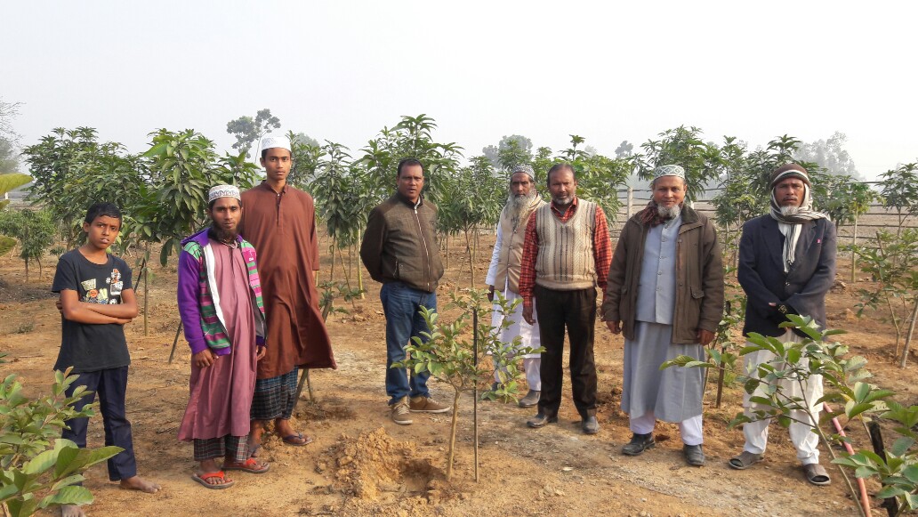 আইএএনএফপি'র কার্যক্রম