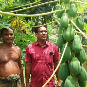 মন্ডলপাড়া কৃষক সংগঠন
